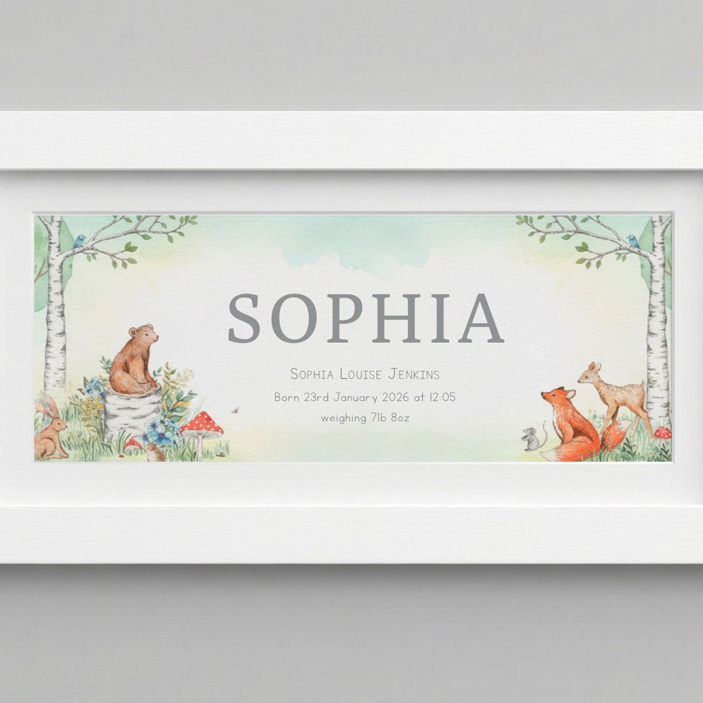 Watercolour Classics Baby Name Frames